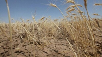 Жамбыл облысында диқандар жергілікті билікке наразылығын білдірді