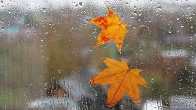 Жауын-шашын, көктайғақ: Алдағы 3 күнге ауа райы болжамы