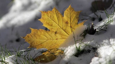 Қарлы боран, көктайғақ: демалыс күндері ауа райы құбылмалы болады