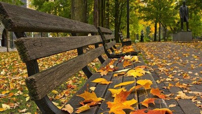 Синоптиктер болжамы: Қазақстанның солтүстігінде күн күрт суытады