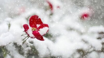 Қазақстанда күн қайтадан суытады