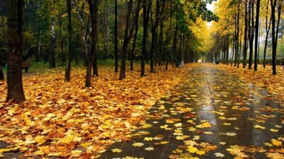 Жаңбыр, найзағай: Демалыс күндеріне арналған ауа райы болжамы