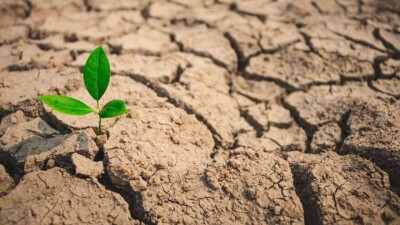 Су тасқынынан кейін: мамырда Қазақстанда құрғақшылық күтіледі