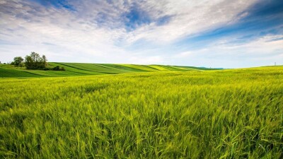 Шығыс Қазақстандағы шекаралық жерлер мемлекетке қайтарылды