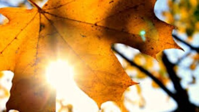 Күн ашық болады: Алдағы үш күнге арналған ауа райы болжамы