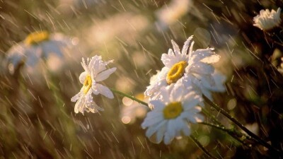 Синоптиктер алдағы күндері Қазақстанда ауа райы қандай болатынын айтты