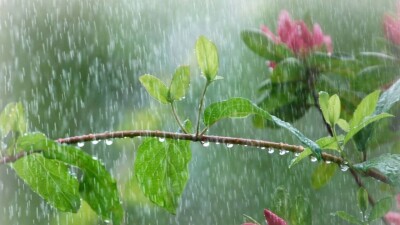 Демалыс күндері Қазақстанның көптеген аймақтарында жаңбыр жауады