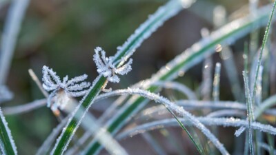 Қазақстанда жаңбыр жауып, түнде үсік жүруі мүмкін