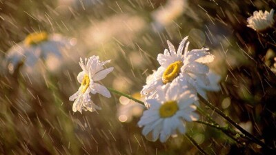 Жаңбырлы ауа райы жалғасуда: Қазақстанда бұршақ жауып, найзағай ойнайды