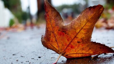 Қазақстанның басым бөлігінде күн ашық болады