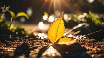 Демалыс күндері Қазақстанда ауа райы 18 градусқа дейін жылынады