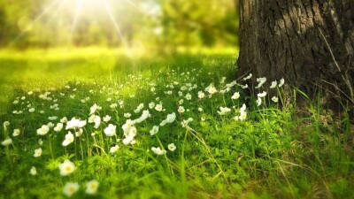 Осы демалыс күндері Қазақстанда күн +32 градусқа дейін жылынады