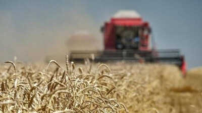 Ақмола облысындағы 5 ауылдың тұрғындары серіктестікке жалға берген жерден пайда көре алмай отыр