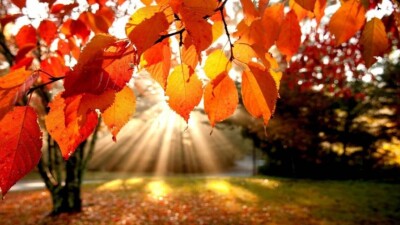 25 градусқа дейін ыстық болады: Демалыс күндеріне арналған ауа райы болжамы