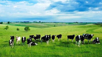 Үш жылға созылған күрестен кейін Жетісу өңірінің шаруалары 39 гектар жерді алды