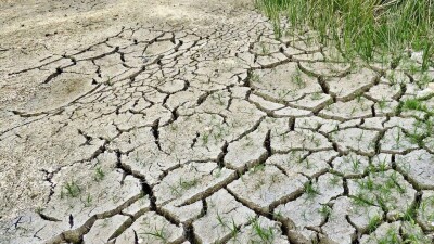 Жаңбыр жауғызып, климатты реттейді: Қазақстан ғалымдары құрғақшылықты болдырмайтын технологияны сынақтан өткізіп жатыр