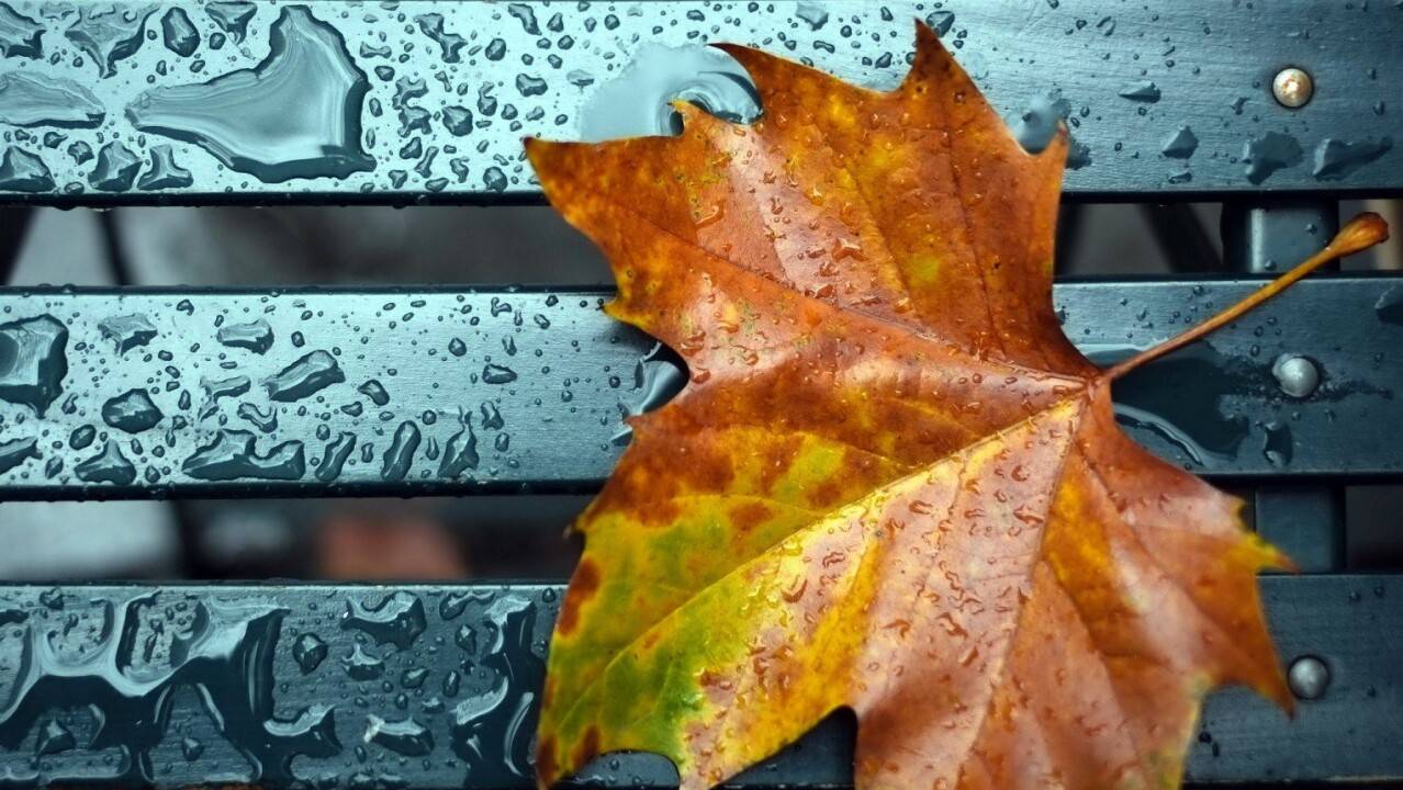 21-23 қыркүйек күндеріне арналған ауа райы болжамы