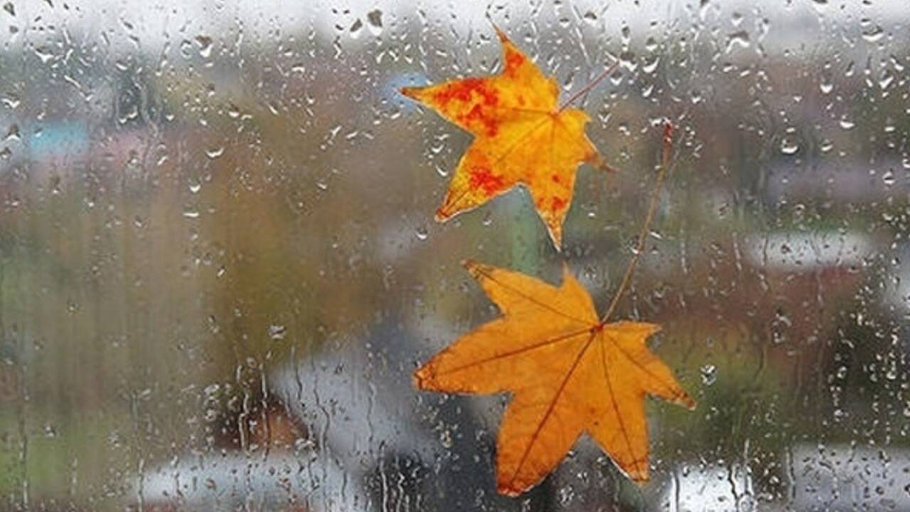 Жауын-шашын, көктайғақ: Алдағы 3 күнге ауа райы болжамы