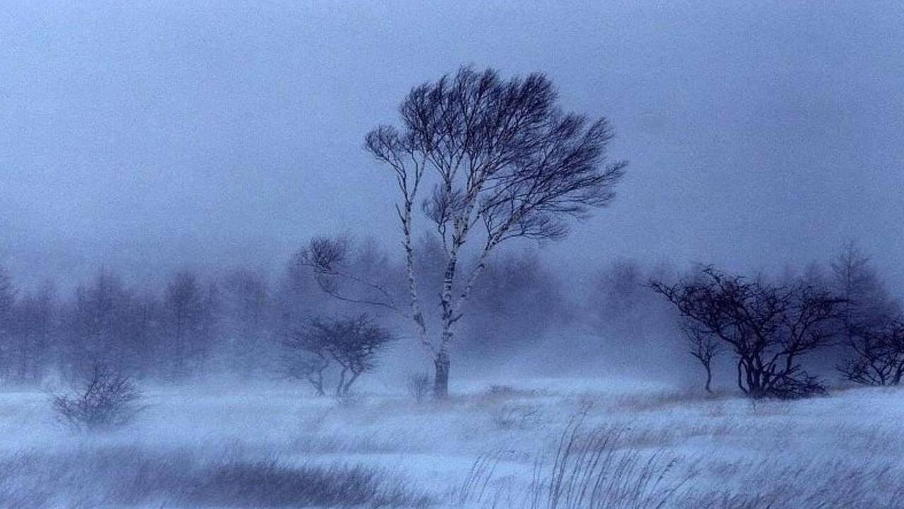 Жаңа жыл қарсаңында Қазақстанда күн суытады