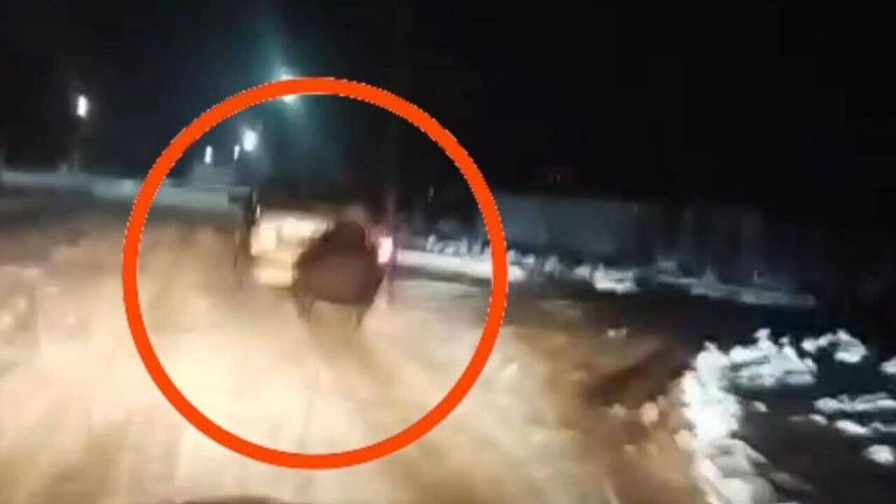 Жамбыл облысында балаларды шанамен сырғанатқан көлік жүргізуші жауапқа тартылды