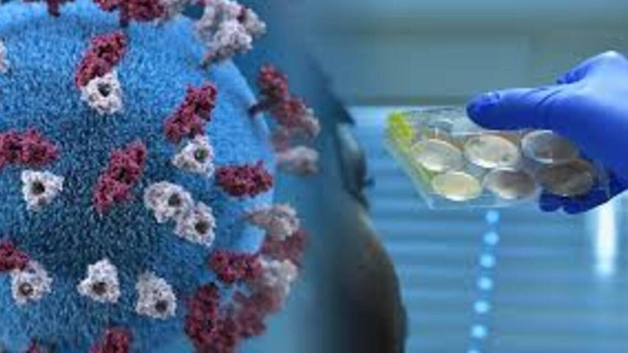 Коронавирус балаларда жеңіл өткенімен, оларға орасан зор зардап тигізген