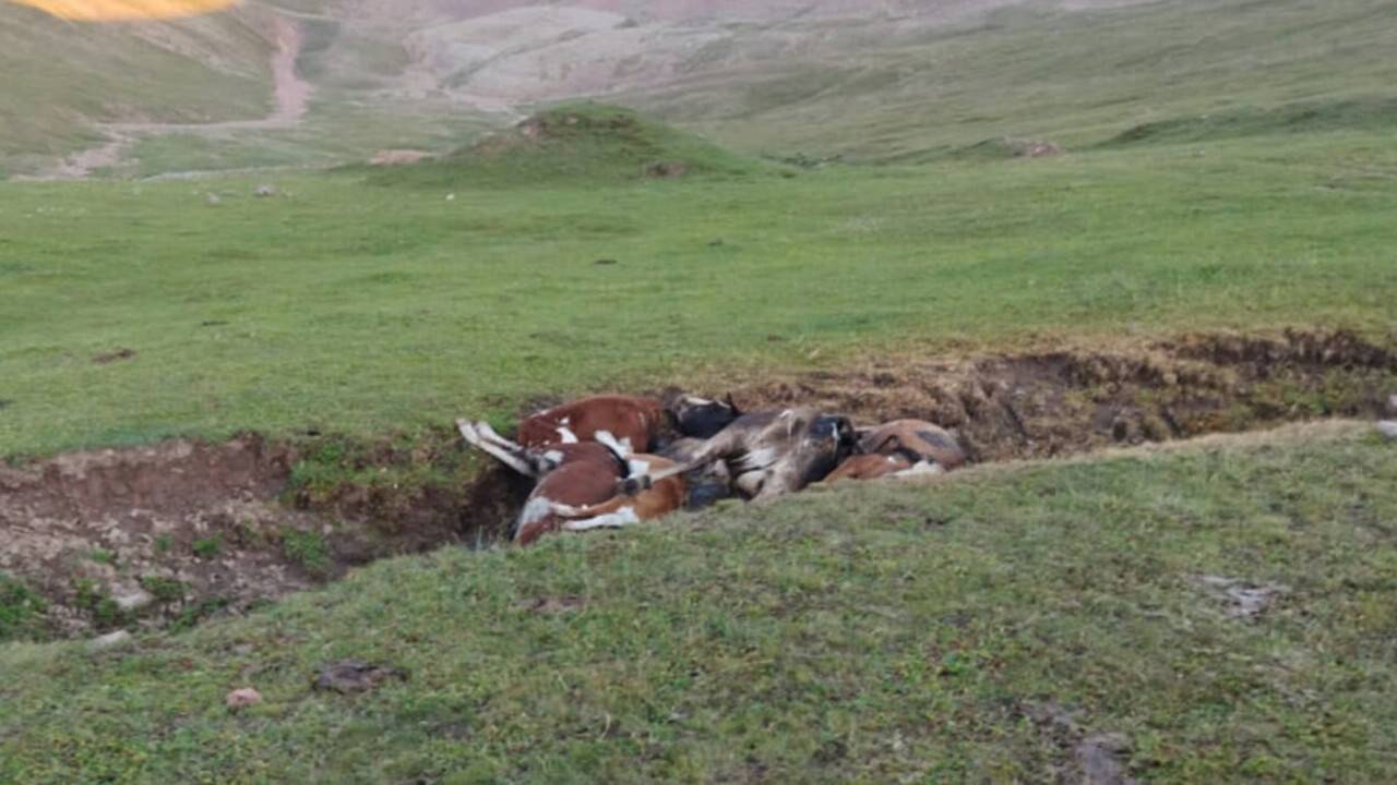 Тасқын су індет жұқтырған малдардың өлексесі көмілген қорымдарды шайып кетті