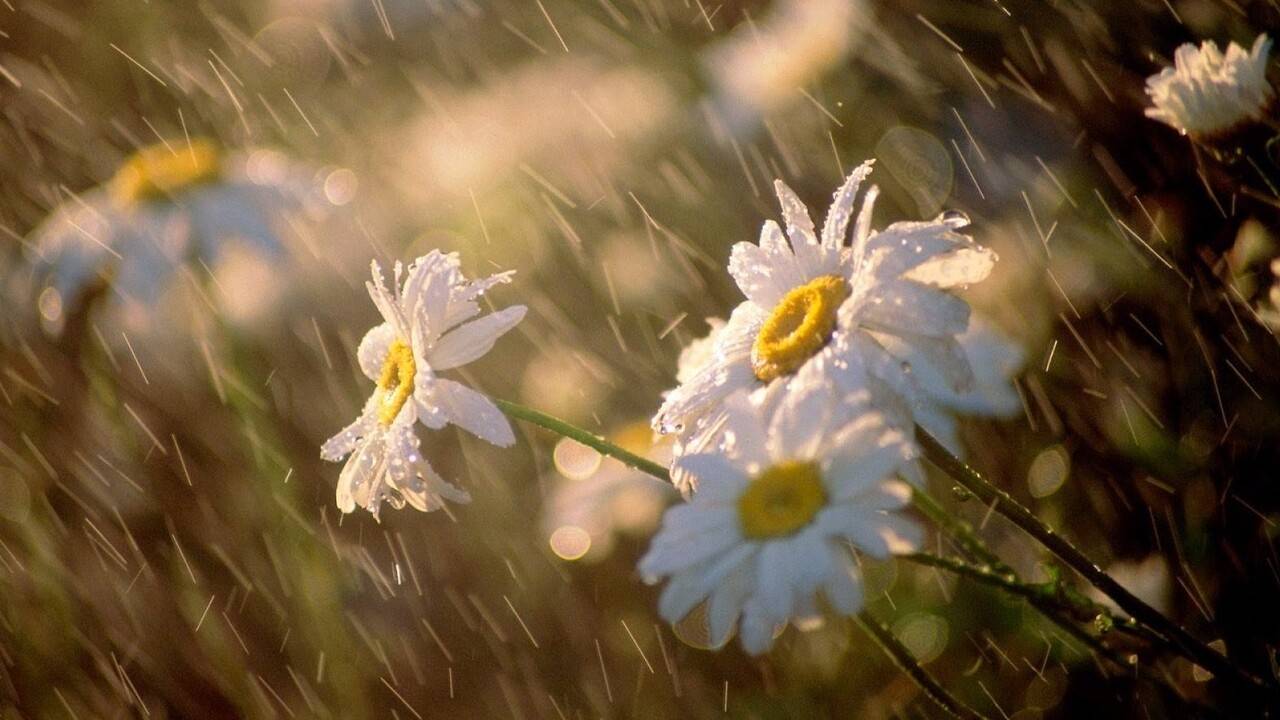 Синоптиктер алдағы күндері Қазақстанда ауа райы қандай болатынын айтты