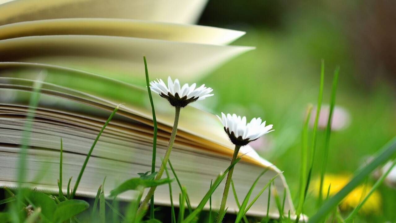 Қазақстанда мамыр айының соңында "Жазғы мектеп" басталады