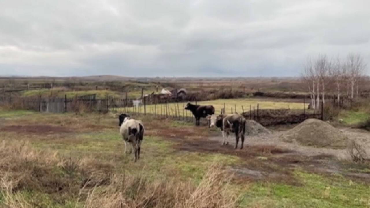 Денсаулық сақтау министрлігі су басқан мал қорымдарынан инфекцияның таралу қаупін бағалады