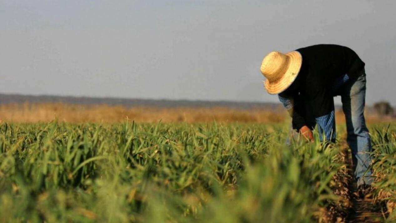 200 млн теңге шығын: Түркістан облысының шаруалары егінін суара алмай отыр