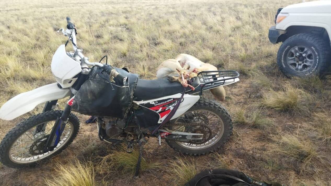 Үш киіктің ұшасы: Ұлытау облысында браконьер ұсталды