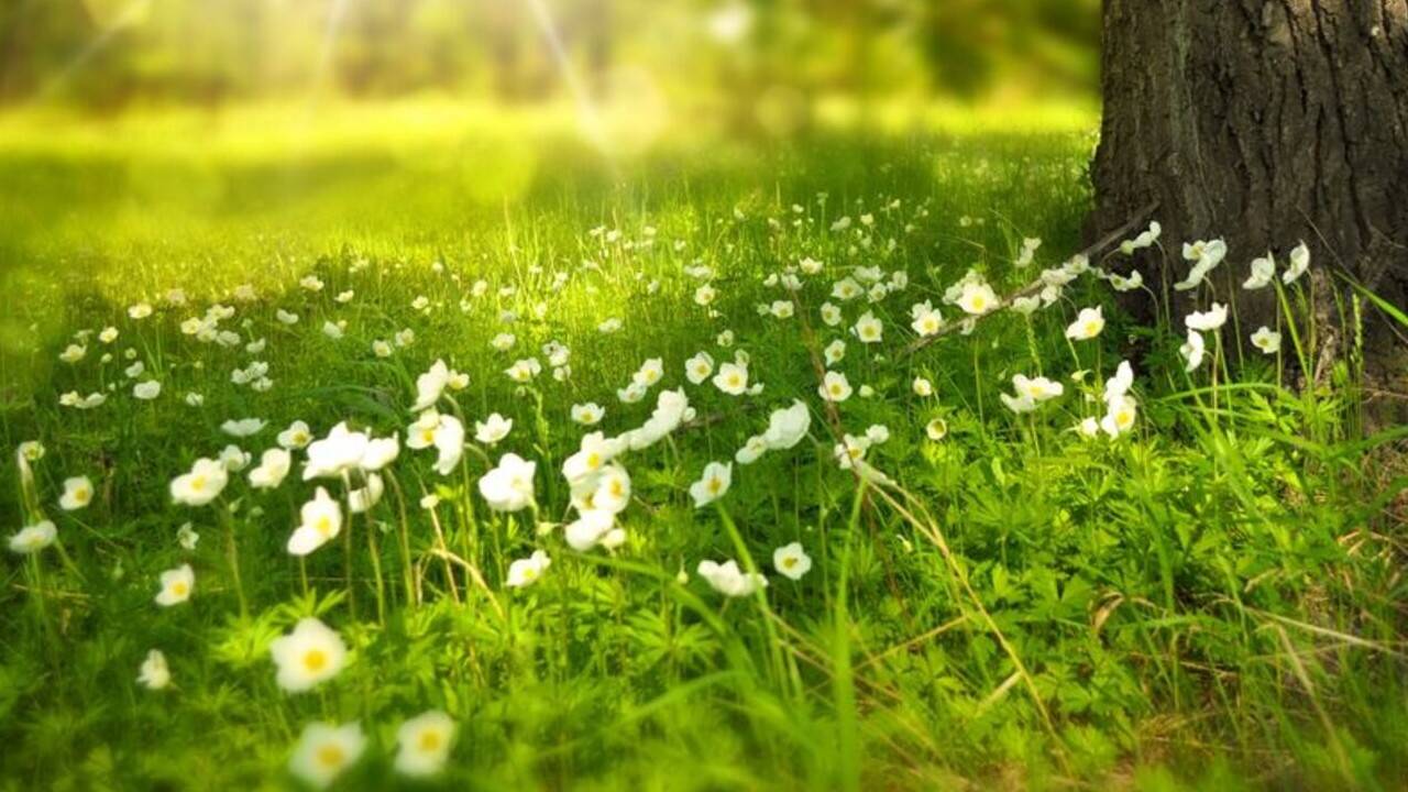 Қазақстанда күн жылынады