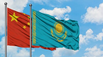 Безвиз с Китаем, бесплатное чипирование животных. Что изменится для казахстанцев в ноябре 2023 года