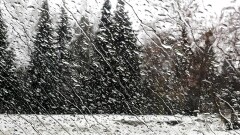 Прогноз погоды на 9 ноября: в большинстве регионов ожидаются осадки