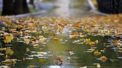 Какая погода будет в Казахстане в День Республики