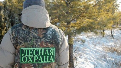 Руководитель национального парка "Тарбагатай" незаконно устроил на работу своего брата