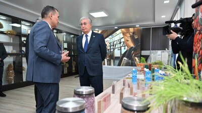Токаеву показали новые гибриды подсолнуха, сорта сои и яровой пшеницы, выведенные казахстанскими учёными
