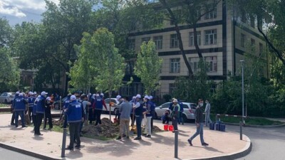 Алматыда прокурорлар санитарлық дәрігердің тыйым салғанына қарамастан, жаппай көшет отырғызуды ұйымдастырды
