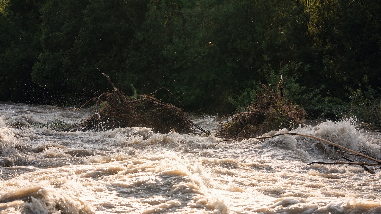 Фото Depositphotos.com