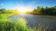 3,7 млрд кубометров воды получит Казахстан по реке Сырдарье в 2025 году