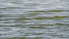 В Уральске наблюдается спад уровня воды в реке Жайык