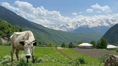 Больше 22 тысяч га земель вернули государству в Актюбинской области