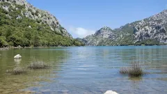 Гидротехнические сооружения водохранилища в Улытауской области вернули государству