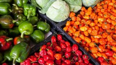 Сельхозярмарка отечественных продуктов возобновит работу в Астане