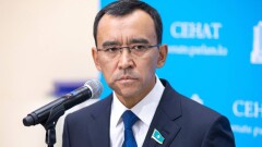 "Нет серьёзных улучшений". Ашимбаев заявил о неоправданности трат на цифровизацию в Казахстане