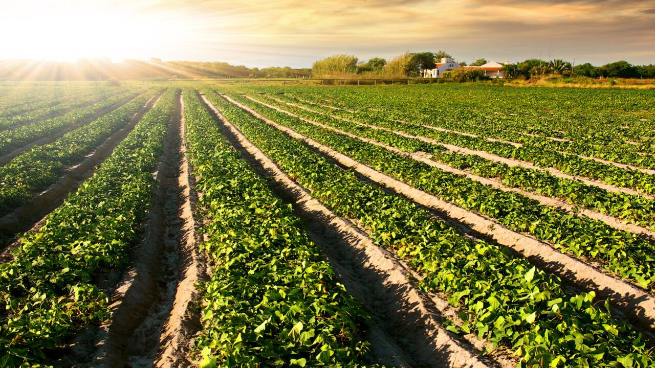 Фото Depositphotos.com