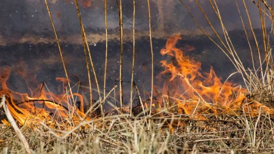 В Атырауской области горит камыш: в городе смог