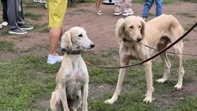 Патент на тазы, выданный ассоциации охотников, суд признал недействительным: что решила апелляция