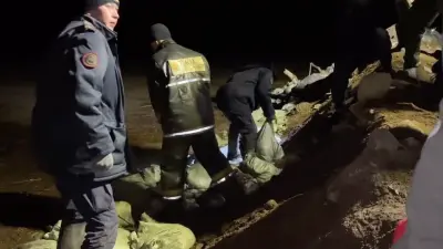 Режим ЧС хотят объявить в одном из районов Акмолинской области из-за паводка