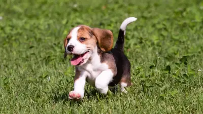 Тепло вернётся на север Казахстана